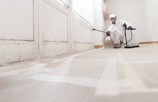 24/7 Emergency Mold Remediation experts in South Boston, VA